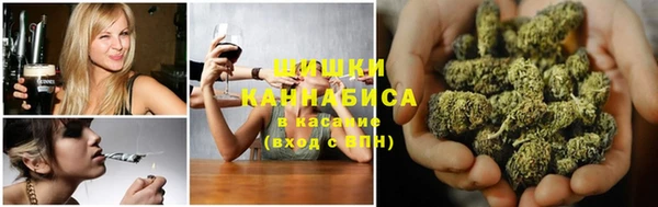 дурь Алексин