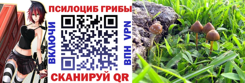 Галлюциногенные грибы MAGIC MUSHROOMS  Купить  Вуктыл 
